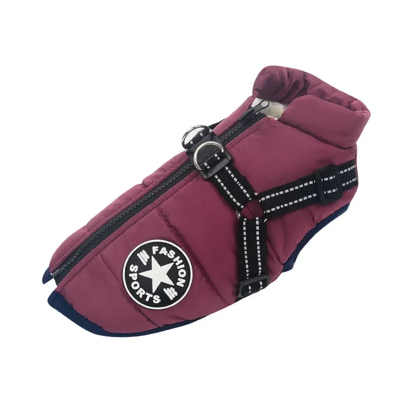 Purple dog jacket with built-in harness