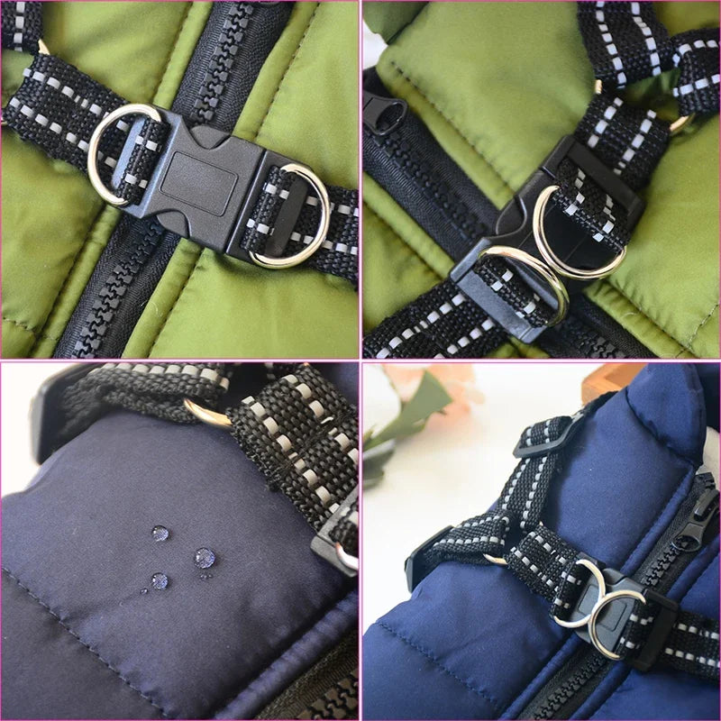 Close-up of the harness buckles, reflective straps and water-resistant fabric